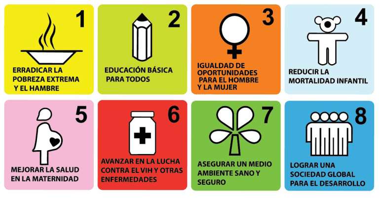 Figura 1. Objetivos de Desarrollo del Milenio (ODM)