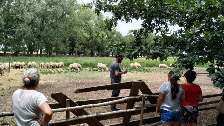 Turismo rural accesible3 | Enfoque de Noticias Tandil