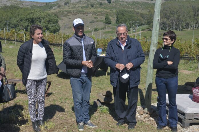 presetnación (3) Asociación de Productores Vitivinicolas de Tandil