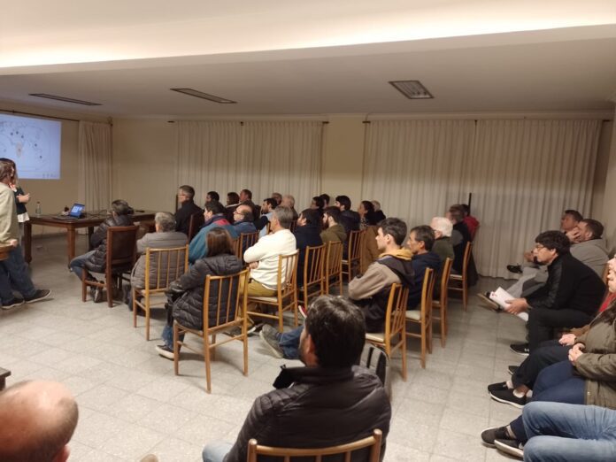 Pequeño Escarabajo de las Colmenas Pequeño Escarabajo de las Colmenas