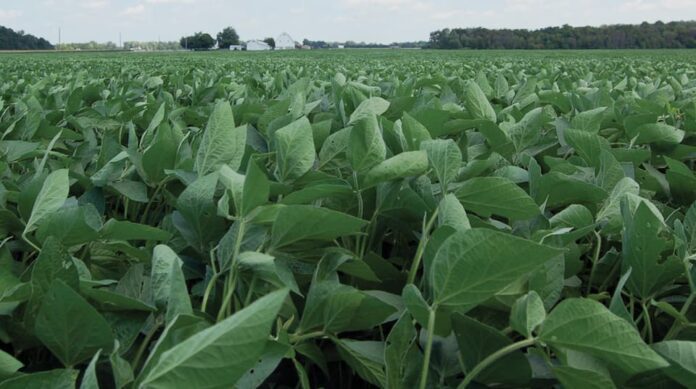 sector público sector público