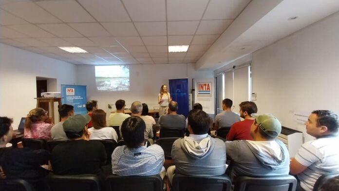 iniciación apícola iniciación apícola