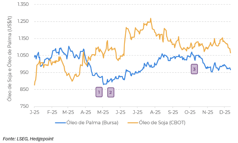 aceite de palma | Enfoque de Noticias Tandil