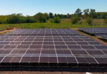 Cirilo Espain: “La energía renovable es la herramienta para el cambio que necesitamos” energía renovable