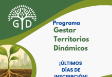Formación gratuita para emprendedores: lanzan una nueva edición del programa “Gestar Territorios Dinámicos 2025” formación gratuita para emprendedores