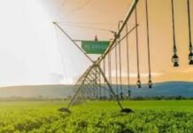 Bauer y Grupo Criolani llevan el concepto 360° al 4º Congreso de Riego en septiembre Grupo Criolani