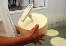 El Cluster Quesero recomienda comprar quesos con etiqueta y rótulo para garantizar su origen y calidad comprar quesos