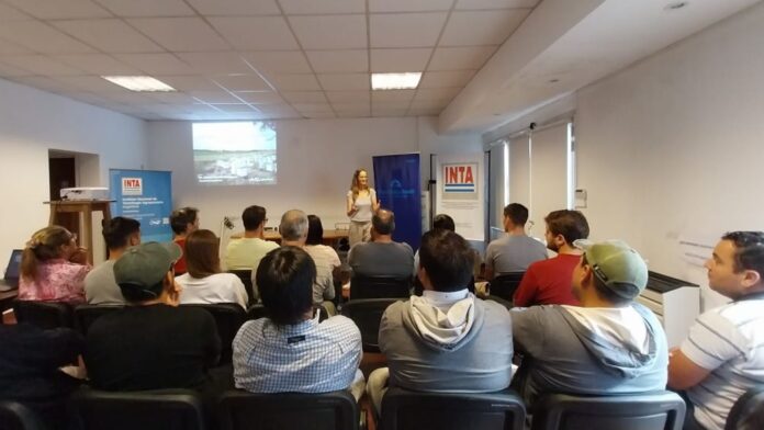 curso de iniciación apícola para emprendedores