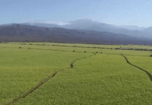 Grupo Bauer lanza soluciones para riego y efluentes en Agritechnica Grupo Bauer