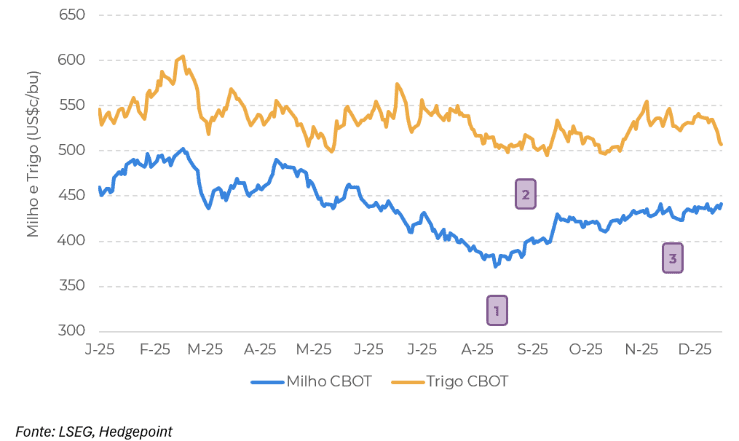 maiz y trigo | Enfoque de Noticias Tandil