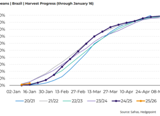 ¿Se viene el techo para el precio de la soja? Expectativas de un gran 2026 para Brasil alertan al campo nacional precio de la soja
