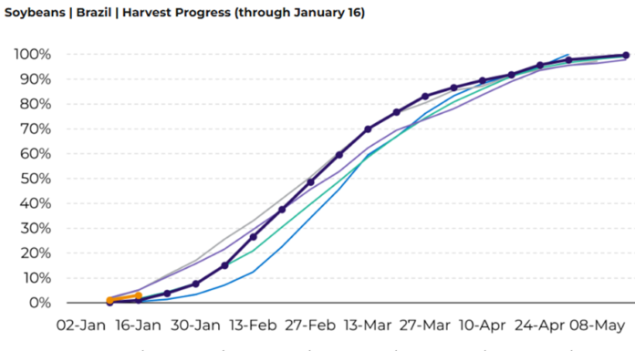¿Se viene el techo para el precio de la soja? Expectativas de un gran 2026 para Brasil alertan al campo nacional precio de la soja