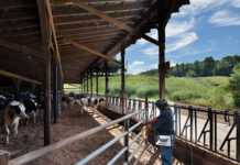 La tecnología de corte por plasma impulsa la productividad y reduce costos en la agroindustria corte por plasma