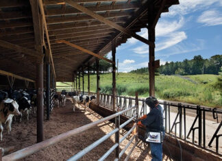 La tecnología de corte por plasma impulsa la productividad y reduce costos en la agroindustria corte por plasma